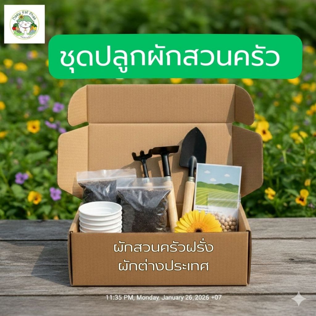 ชุดปลูกผัก สวนครัว ผักสวนครัวฝรั่ง สำหรับมือใหม่หัดปลูก ผักฝรั่ง ต้นหอม เมล็ดพันธุ์ผัก เคล ราคาถูก 4แบบ พร้อมอุปกรณ์ปลูก