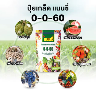 ปุ๋ยเกล็ด แนนซี่ สูตร ปุ๋ย 0-0-60 เพิ่มหนัก ขยายผล รสหวาน ปุ๋ย 1 kg.