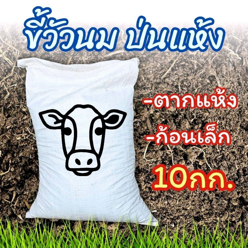 ขี้วัวนมแท้ ตีป่น(5กก./10กก.) ปุ๋ยคอก มูลสัตว์ มูลวัวนมตากแห้ง ขี้วัวก้อนเล็ก