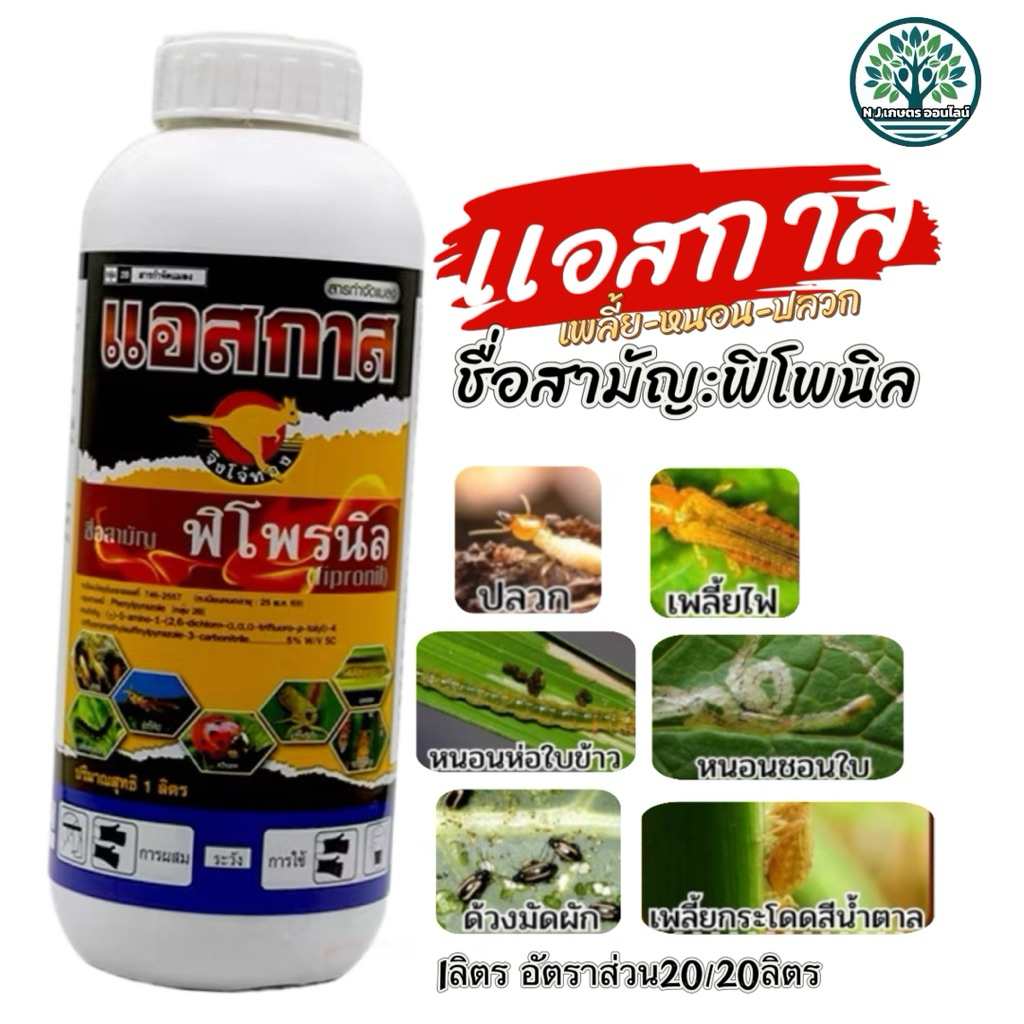 แอสกาส(ฟิโพรนิล) ตราจิงโจ้ทอง กำจัด เพลี้ยไฟ เพลี้ยกระโดด เพลี้ยจั๊กจั่น หนอน กอ หนอนเจาะ แมลงเต่าทอง