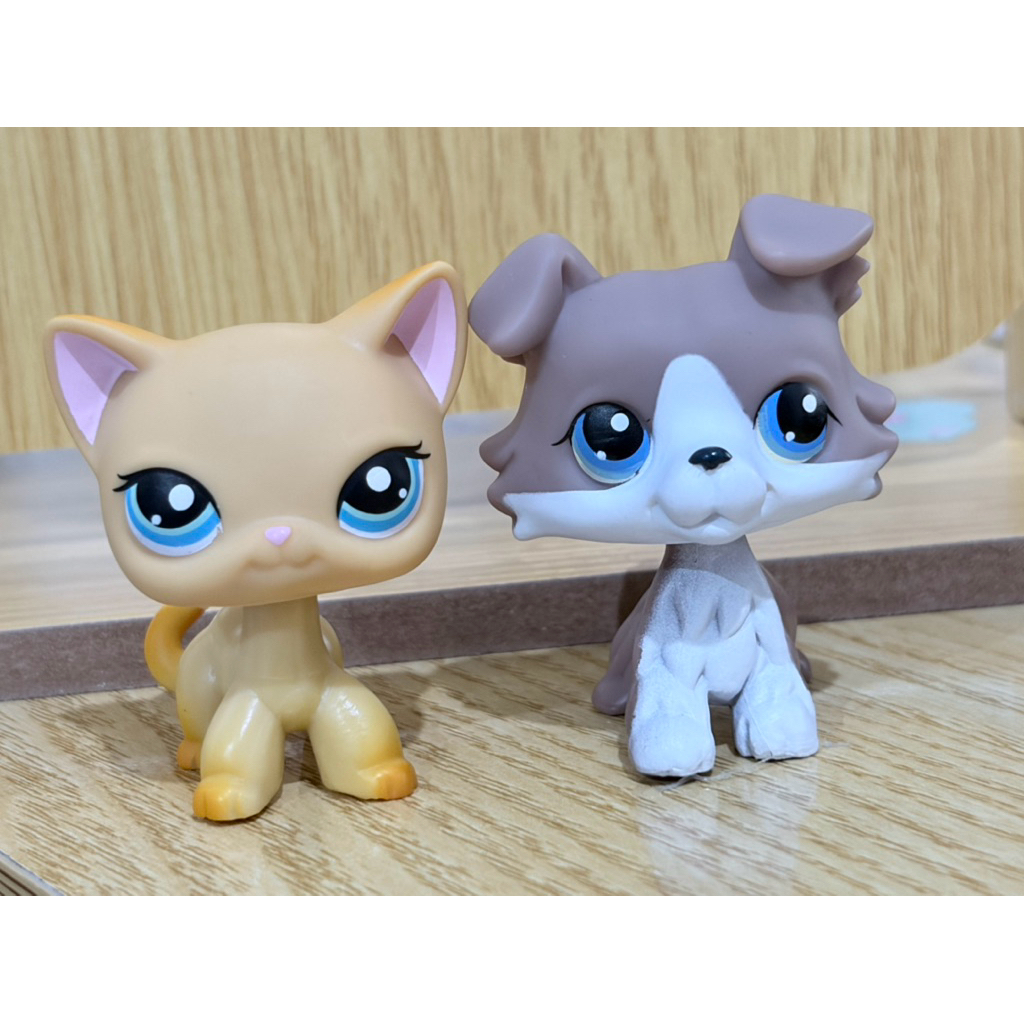 LPS main 5 ไม่แท้ แมวเหลือง คอลลี่น้ำตาลขาว