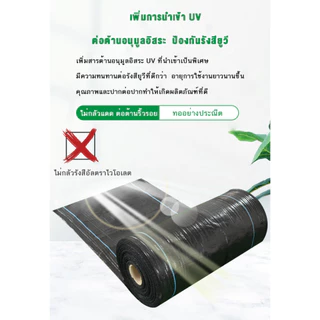 （ราคาโรงงาน） ผ้าคลุมดิน (เกรด AAA) 10-100mคลุมดิน ผ้าคลุมหญ้า พลาสติกคลุมวัชพืช พราสติกคลุมดิน ผ้าคลุมวัชพืช น้ำซึมผ่