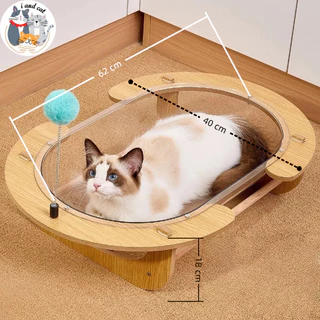 [พร้อมส่ง]🐱 คอนโดแมว ที่นอนแมว 2 ชั้น หลุมแมว แคปซูลใส เตียงแมว เสาลับเล็บแมว แข็งแรง ไม่ล้ม