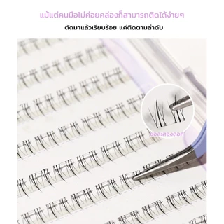 XIXI ขนตาปลอมต่ำไม่ใช้กาว ลิตเติ้ลเฟลม - หมุนขึ้นธรรมชาติ ติดเองได้ ติดง่าย