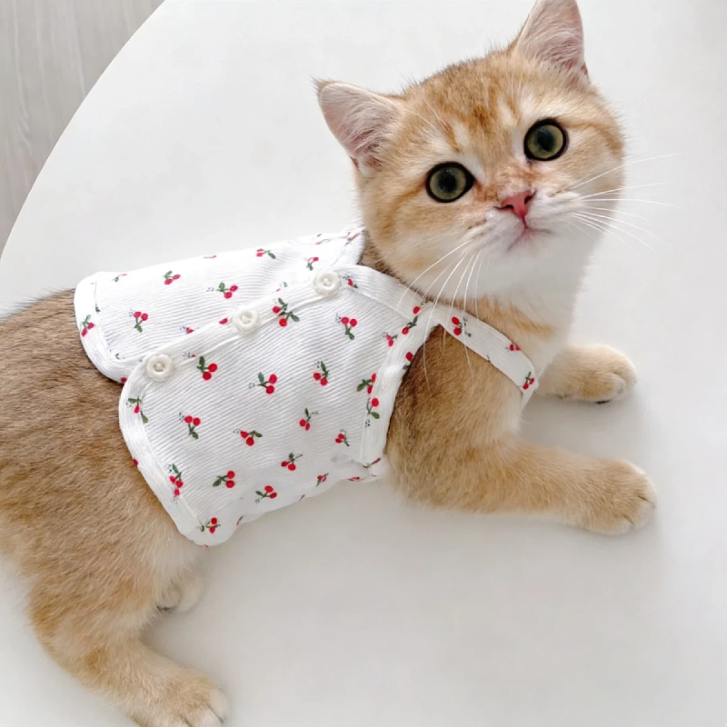 Nong Nuan Nuan-สุดน่ารัก! เสื้อกั๊กสัตว์เลี้ยงลายเชอร์รี่ ใส่สบายผิว ระบายอากาศดี