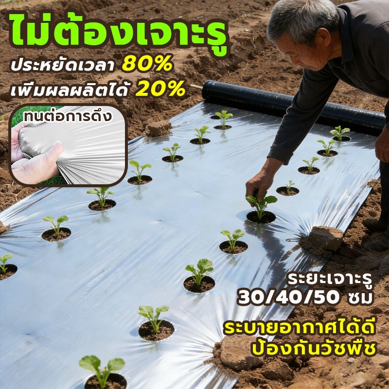 พลาสติกคลุมดิน ผ้ายางคลุมดิน พลาสติกคลุมดินสีดำเงิน กว้าง 1.0 เมตร ยาว 400หลา (360เมตร) เจาะรู 30 40 50 cm