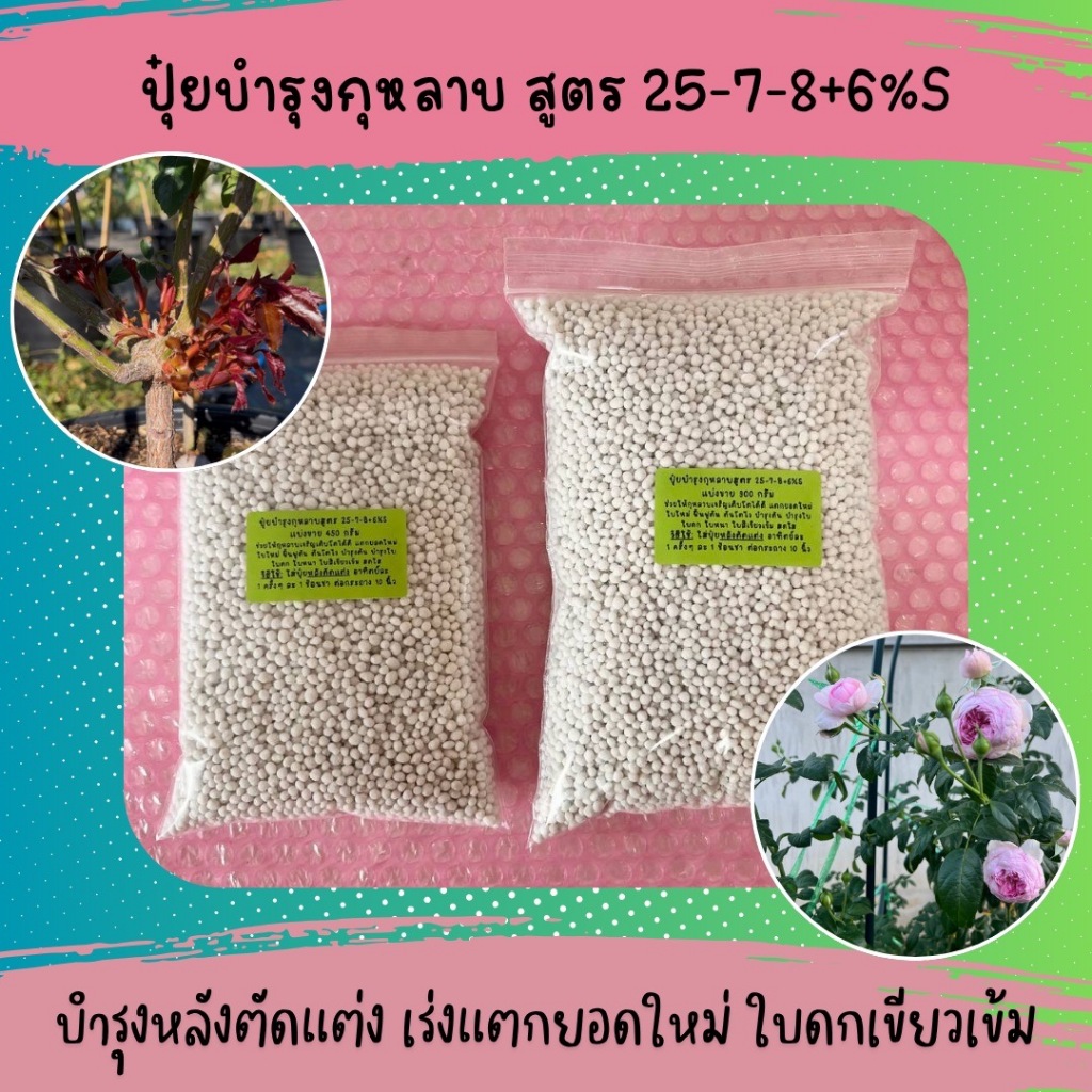 ปุ๋ยบำรุงหลังตัดแต่ง สูตร 25-7-8+6%S เร่งแตกยอดใหม่ ใบดกเขียวเข้ม นวัตกรรมการผลิตจากญี่ปุ่น เป็นมิตรต่อสิ่งแวดล้อม