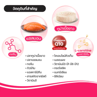 VFcore HC วิตามินแมวเลีย สูตรบำรุงหัวใจ 12 ซอง