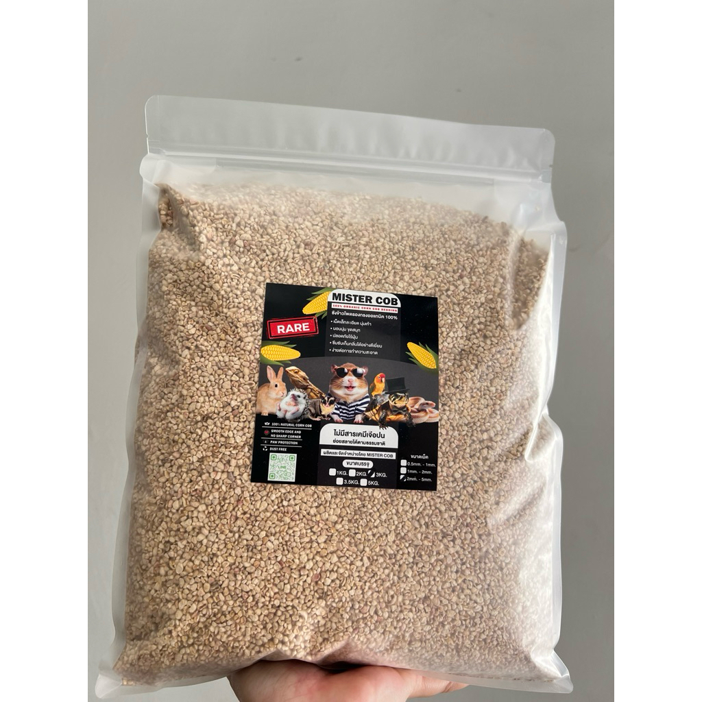 รูปภาพ 8