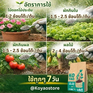 ไม้ดอกไม้ประดับ ปุ๋ยอะมิโนฮิวมิค สูตรสำหรับต้นไม้ ลำต้นแข็งแรง ต้นอวบ โตไว ดอกสวย ใบเขียว รากแข็งแรง