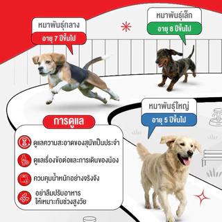 [1โหล] ROYAL CANIN อาหารเปียก สำหรับ สุนัข ทุกสูตร ยกกล่อง 1 โหล 12 ซอง