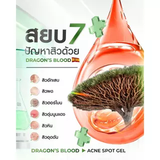 Dragon's Blood Acne Spot Gel (เขียว) เดอะ ชาร์มมิ่ง ดราก้อน บลัด แอคเน่ สปอต เจล 7 กรัม