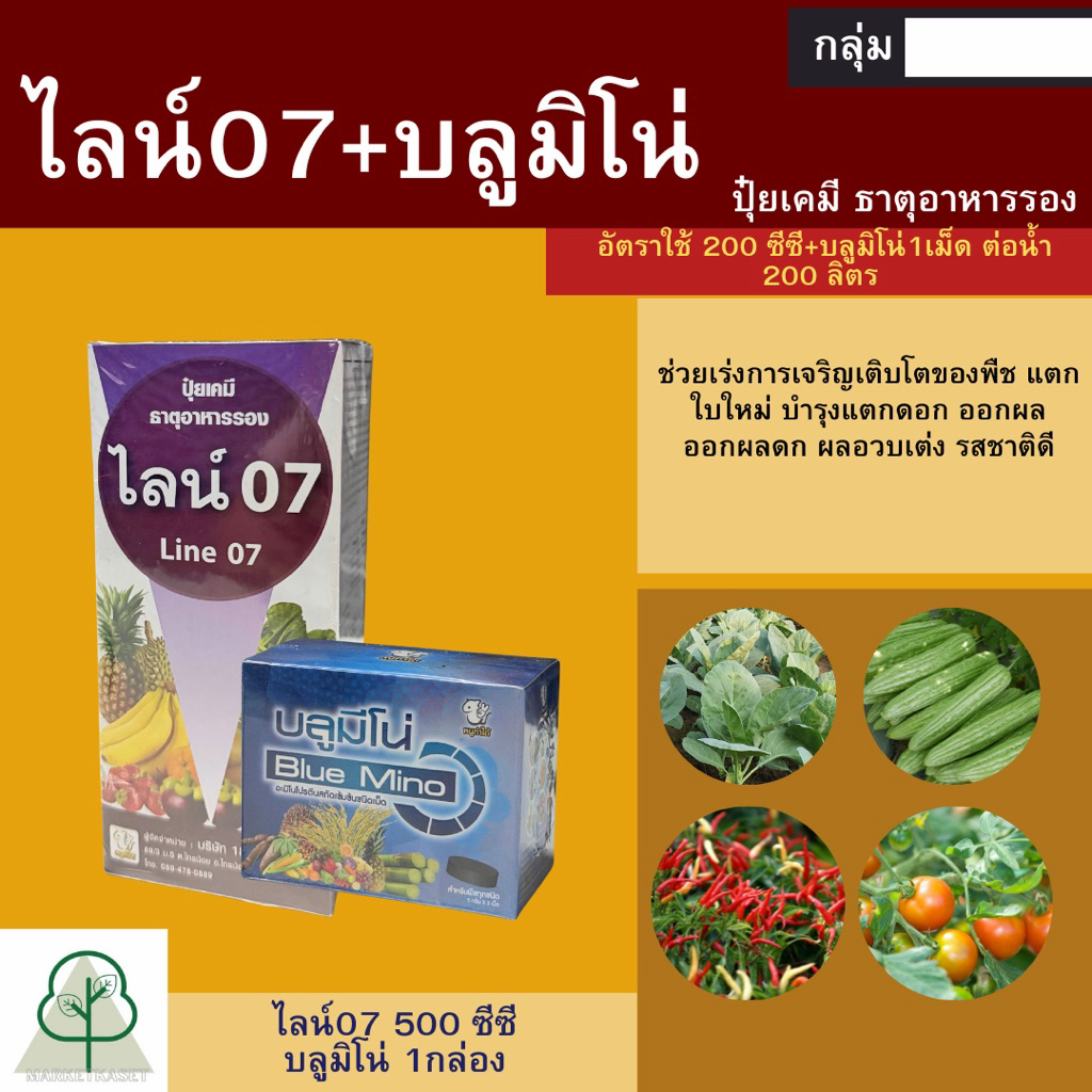 ไลน์07+บลูมีโน่ คู่หูฮอร์โมนสูตรแข้มข้นต้นแข็งใบเขียว ขึ้นนวลดี ยับยั้งการแผ่กระจายตัวของโรคไวรัสและแบคทีเรีย