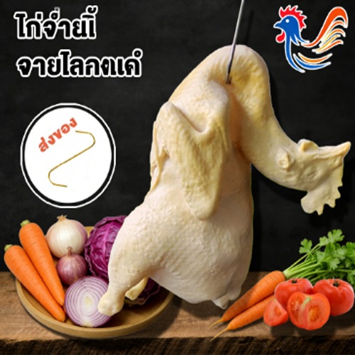 🐥🐥🐥มเดลไก่ปลอม ใช้งานได้ ไก่เรซิ่น  16*12*11cm ไก่พะโล้ปลอม ไก่พะโล้ 300g