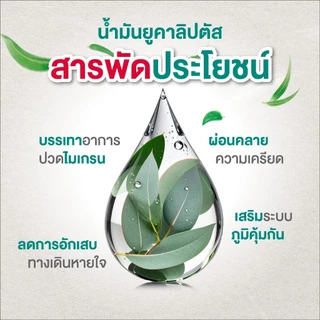 Siangpure Liquid Inhalant Eucalyptus Scent ยาดมน้ำเซียงเพียว กลิ่น ยูคาลิปตัส ชนิดลูกกลิ้ง 5 ซีซี จำนวน 6 ชิ้น