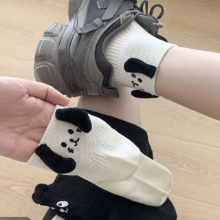 ถุงเท้าเซต 5 คู่ และ เซต 3 คู่ พร้อมส่ง‼️ ถุงเท้าน่ารัก ใส่ท…