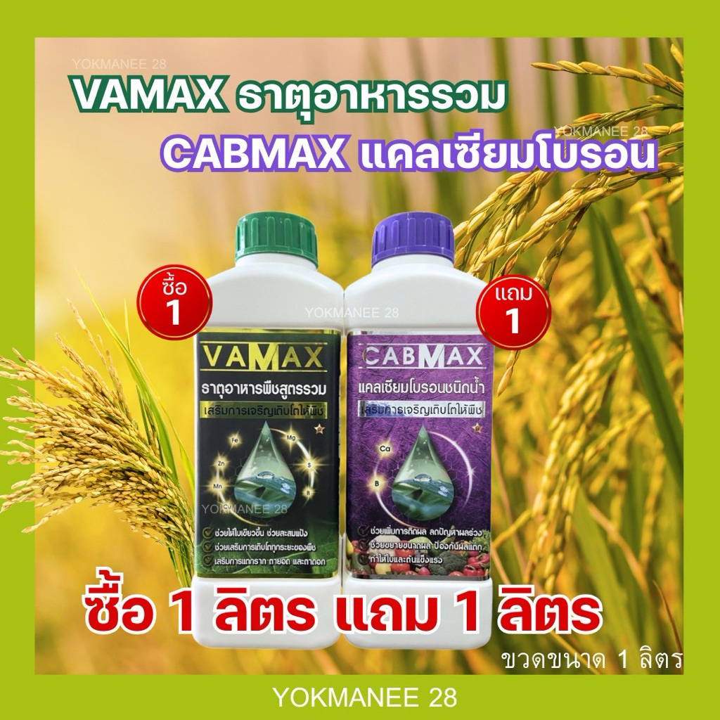 CABMAXแคลเซียมโบรอน 1 ลิตร แถม VAMAXธาตุอาหารรวม 1 ลิตร (C1+V1)