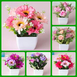 แต่งบ้าน โต๊ะทำงาน โต๊ะกาแฟ ต้นไม้ปลอม  มินิมอล สีสันสดใส ขอ…