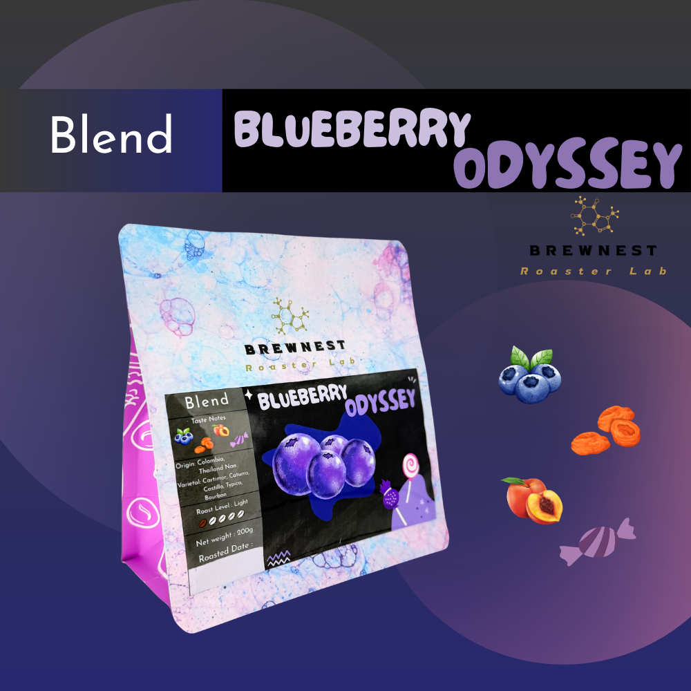 เมล็ดกาแฟคั่วอ่อน Blueberry Odyssey (Light) - Blend Colombia x Thai - BREWNEST Roaster Lab