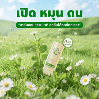 ของแท้💯!! Terra Balm บาล์มเทอร่า พาเฟ่ อโรม่า คัน รอยดำ รอยแดง จากยุง แมลงกัดต่อย วิงเวียนศีรษะ ขนาด 7กรัม
