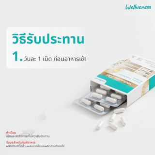 [ส่งด่วน] Well Flex เวลวีเนส เวล เฟล็กซ์ โกล์ด บำรุงกระดูก ไขข้อ เส้นเอ็น อาหารเสริม ข้อต่อ กระดูกอ่อน