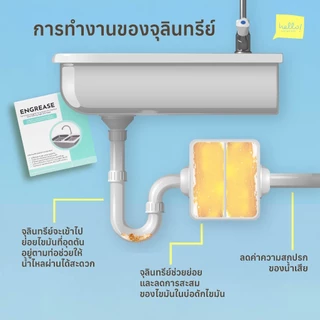 Engrease เม็ดเอนไซม์ชีวภาพสำหรับย่อยสลายไขมันและแก้ไขปัญหาอ่างล้างจานอุดตัน ช่วยแก้ซิงค์ตัน แก้ท่อตัน ไร้สารเคมี