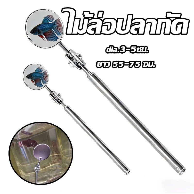 ไม้ล่อปลากัด กระจกล่อปลา ยาว 55-75 ซม. dia.3-5ซม. พกได้ยึดได้ สำหรับล่อปลากัด ให้ปลากัดพองสู้