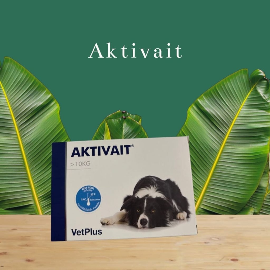 🐕 Aktivait medium and large breed นน.>10 kg. (60 แคปซูล)