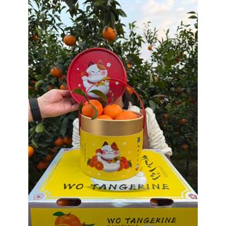🍊ส้มแมนดาริน ฮันนี่เมอคอท นำเข้าจากออสเตเรีย หวานอมเปรี้ยว สดใหม่ 🍊