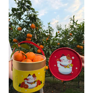 🍊ส้มแมนดาริน ฮันนี่เมอคอท นำเข้าจากออสเตเรีย หวานอมเปรี้ยว สดใหม่ 🍊