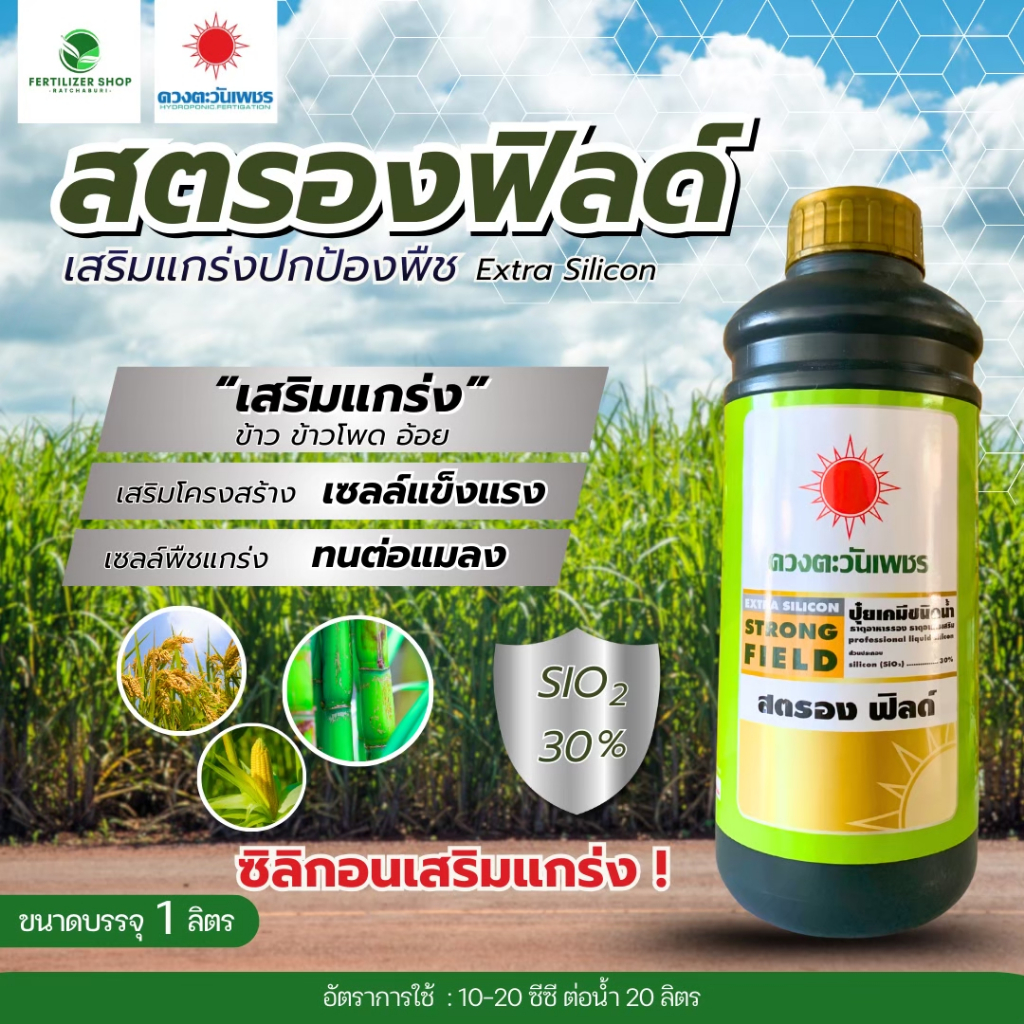 ปุ๋ยน้ำ สตรองฟิลด์ ซิลิคอน SiO 30% เสริมแกร่งให้ผนังเซลล์พืช (ขนาด 1 ลิตร) ดวงตะวันเพชร