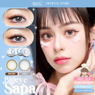 💧65% คอนแทคเลนส์ Hydrogel (บิ๊กอาย) Big Sapa Brown / Gray (u…