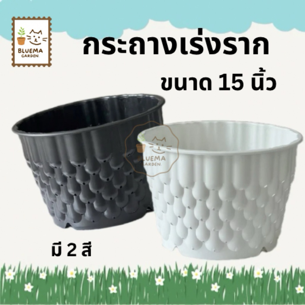 กระถาง เร่งราก กระถาง แอร์พอต ขนาด 15 นิ้ว สีขาว และสีดำ