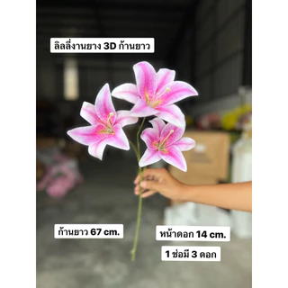 ดอกลิลลี่ ลิลลี่ยาง งาน 3D