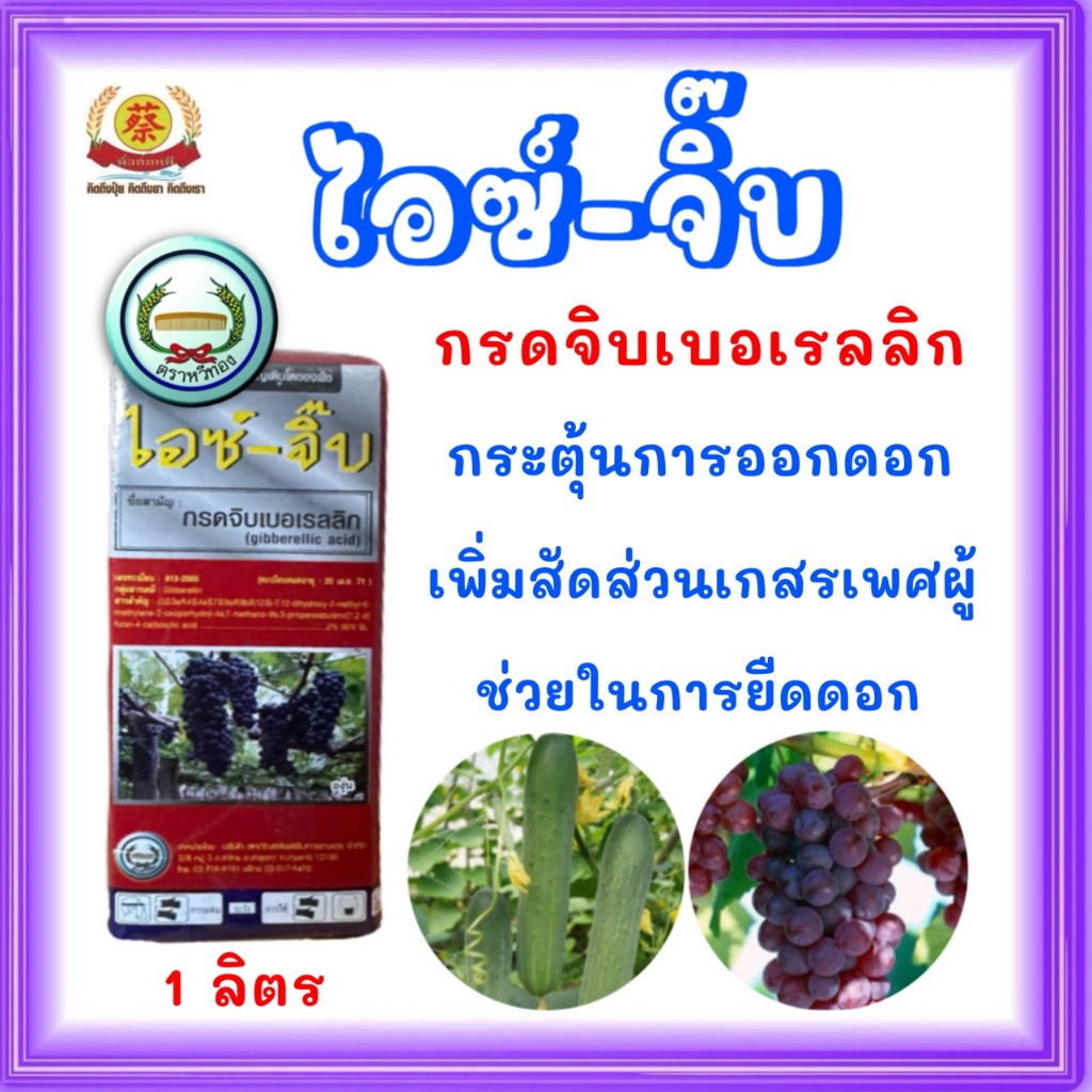 ไอซ์-จิ๊บ (กรดจิบเบอเรลลิก) เพิ่มสัดส่วนเกสรเพศผู้แตงกวา ขนาด 1 ลิตร