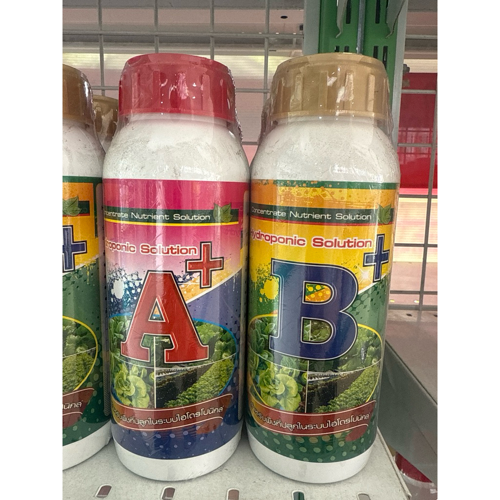 ปุ๋ย A+B (500ซีซี) ปุ๋ยไฮโดรโปนิกส์