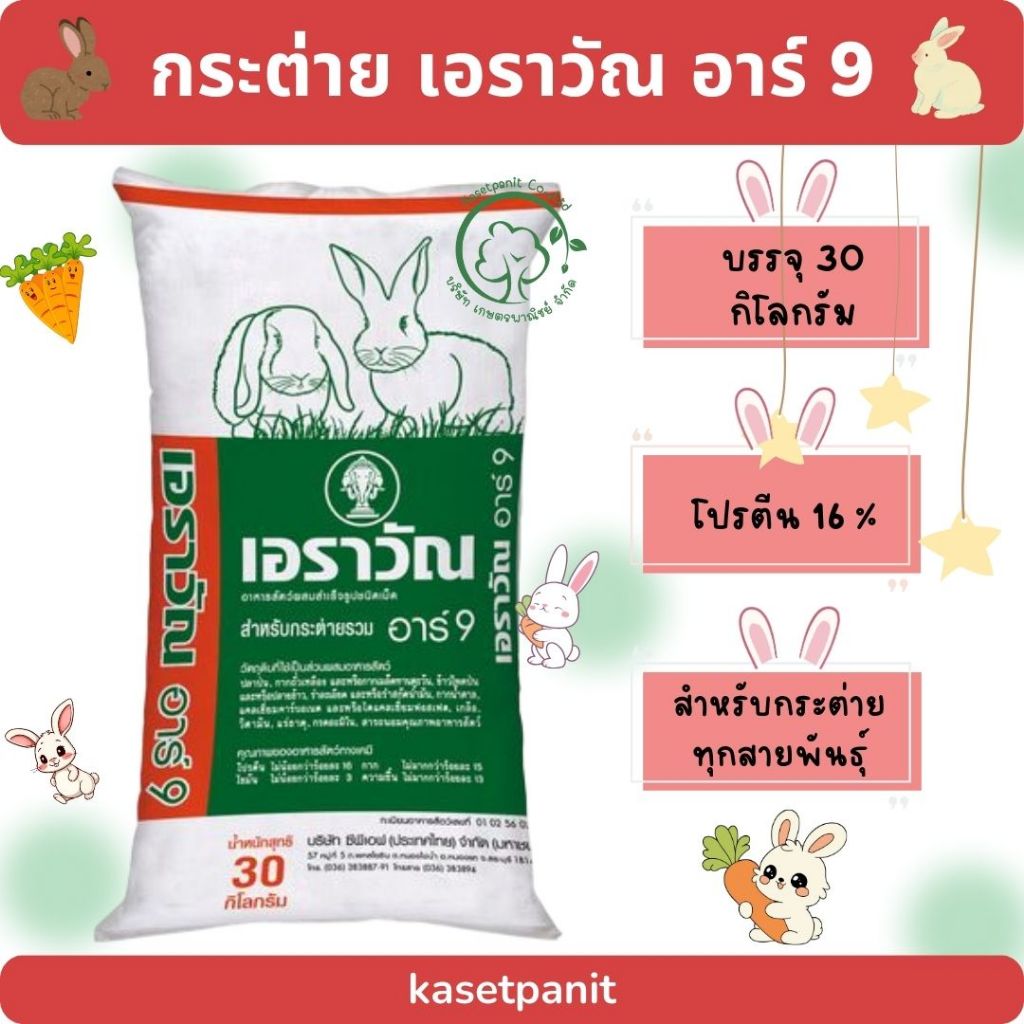 กระต่าย เอราวัณ อาร์ 9 (30 kg)