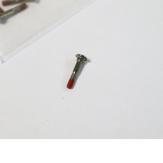 น๊อต จุด ไลน์โรเลอร์ รุ่นใหม่ daiwa  รุ่นใหม่ 23 fuego ,23-2…