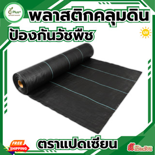 พลาสติกคลุมวัชพืช ผ้ากำจัดวัชพืช ผ้าคลุมดิน ผสมUV ยาว5/10M ป…