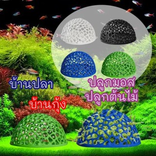 บ้านกุ้ง บ้านปลา ที่หลบภัยสัตว์น้ำ ที่ปลูกมอส