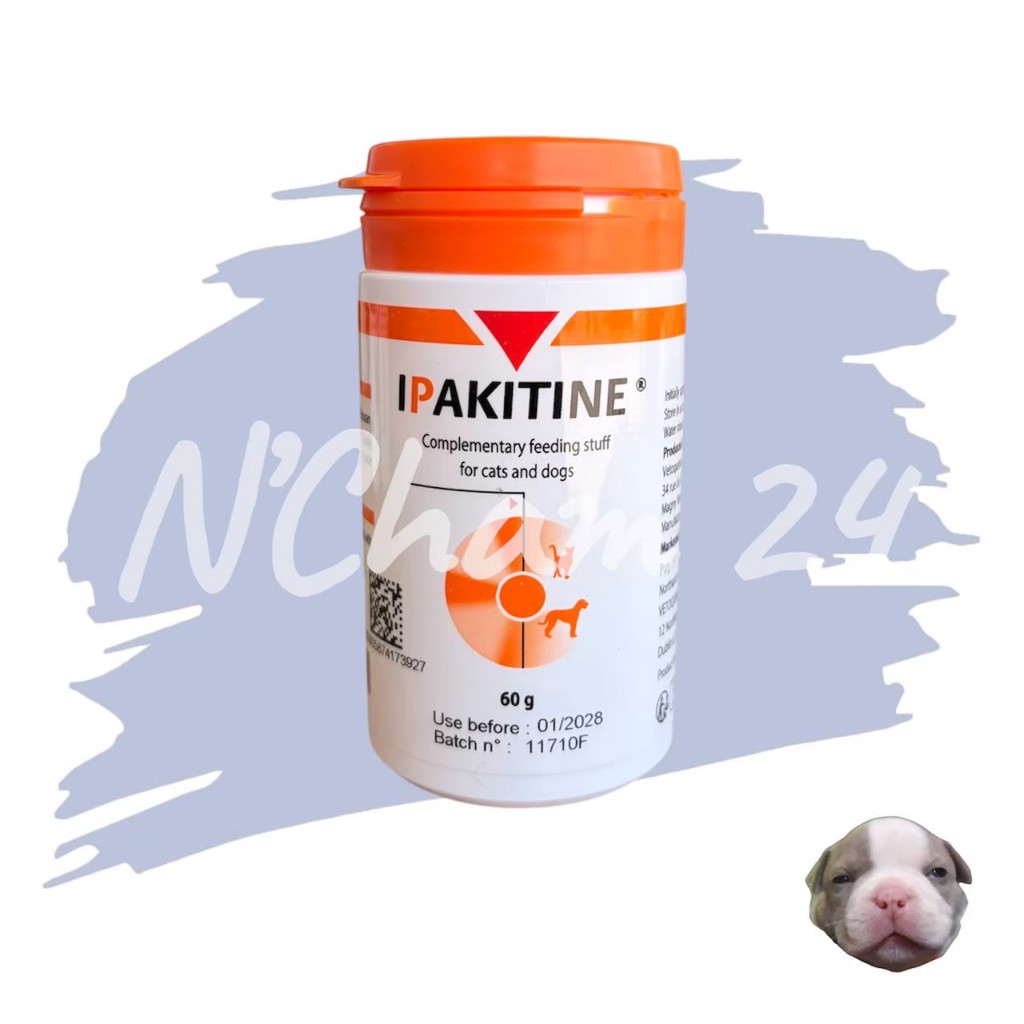 IPAKITINEไอแพคไคติน อาหารเสริมช่วยดักจับฟอสฟอรัสสำหรับโรคไต (Exp.03/2027)