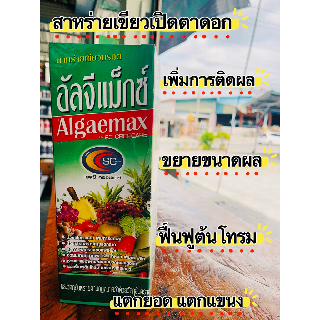 อัลจีแม็ก สารสกัดสาหร่ายเขียวมรกต ขนาด 1 ลิตร ใช้เสริมการดูแลพืช
