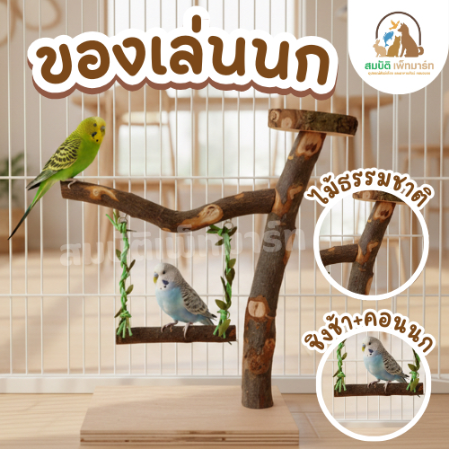 คอนนกตั้งพื้น ไม้ธรรมชาติ พร้อมถ้วยอาหาร 2 ใบ | ของเล่นนก คอนนกธรรมชาติ นกแก้ว นกหงส์หยก นกฟินช์