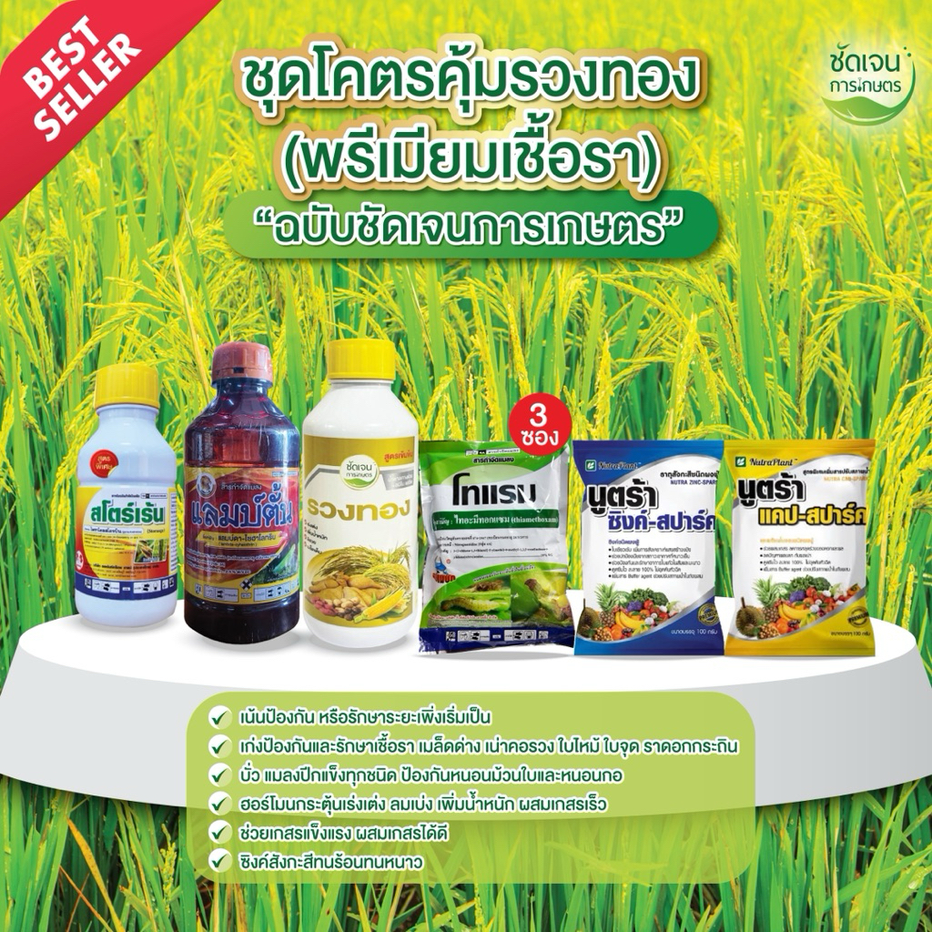 ชุดโคตรคุ้มรวงทอง (พรีเมียมเชื้อรา)+สโตร์เร้น ข้าวระยะรับท้อง รับรวงและไล่ก้ม ป้องกันและเก่งเชื้อรา ทุกชนิด ครอบคลุม
