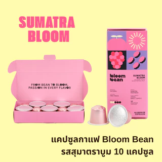 กาแฟแคปซูล Bloom Bean ถัวยอลูมิเนียม ใช้กับเครื่องชงทุกยี่ห้อที่ใช้แคปซูลขนาดเล็ก Nespresso กล่องละ 10 แคปซูน อร่อยตรงปก