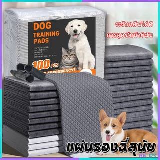 [BDS]🐶พร้อมส่ง🐱 แผ่นรองฉี่สุนัข แผ่นรองฉี่แมว ต่อต้านแบคทีเรีย ถ่านหินคาร์บอน ดูดกลิ่นดี ระงับกลิ่น
