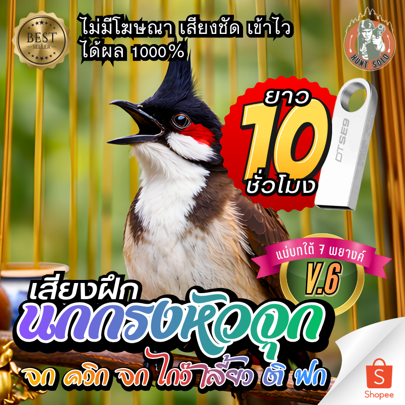 เสียงฝึกนกกรงหัวจุกV6【จกควิกจกไกว๊เลี้ยวติฟก】แม่บทใต้10ชมใส่แฟลชไดร์ฟ เสียงใสไม่มีโฆษณาพร้อมส่ง