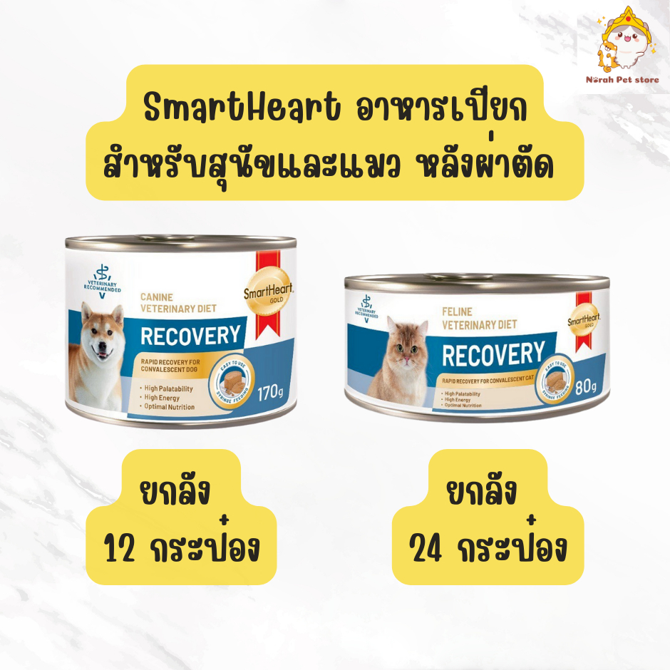 [ยกลัง] SmartHeart Gold: Recovery อาหารประกอบการรักษาโรคสำหรับสุนัขและแมวป่วย หรือป่วยพักฟื้นหลังผ่าตัด