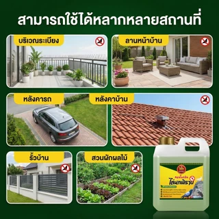 [สินค้าแนะนำ] วิหค ไล่นก สมุนไพรจีน สุดยอดน้ำยาไล่นกปลอดภัยต่อคนและสัตว์