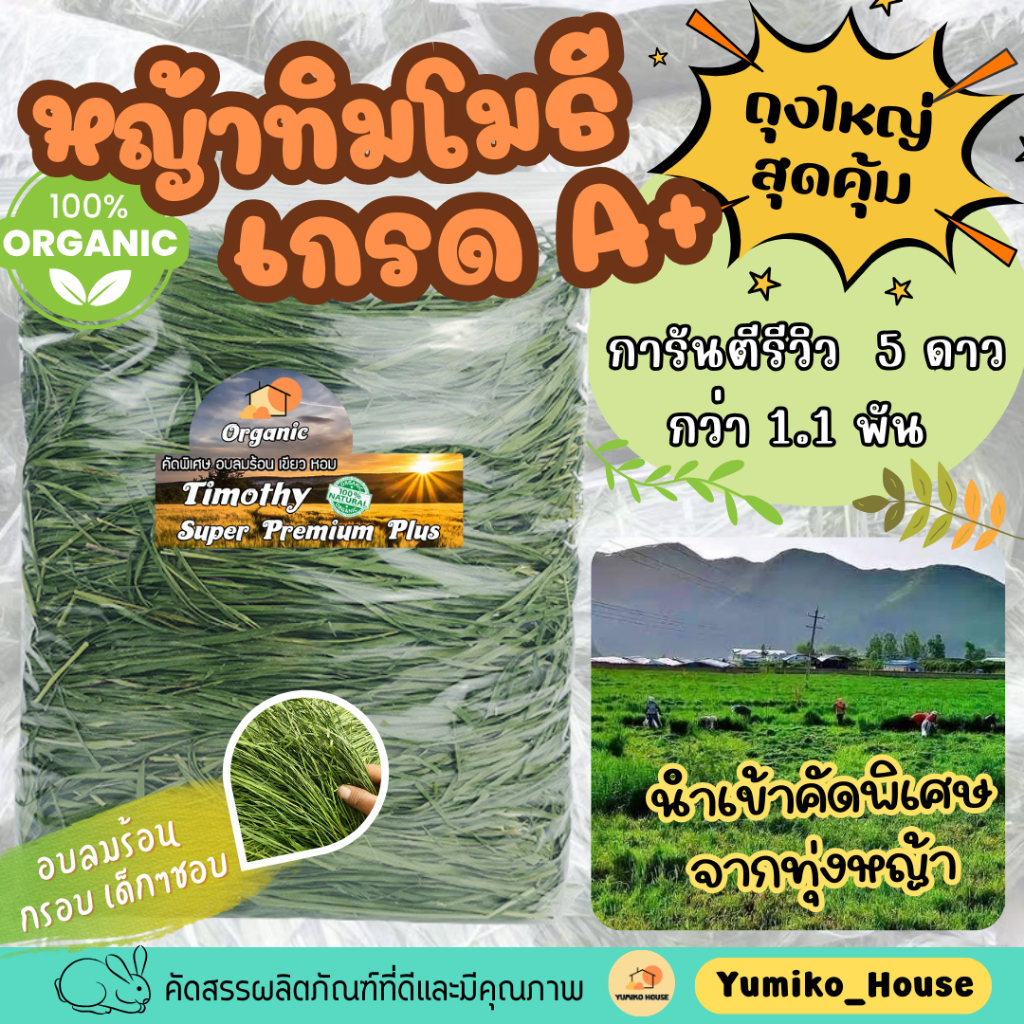 หญ้าทิมโมธี ทิโมธีอบลมร้อนเกรดพรีเมี่ยม ออแกนิค Organic 500 กรัม คัดพิเศษยอดอ่อน ก้านกรอบ (คำสั่งซื้อละไม่เกิน6ถุง)